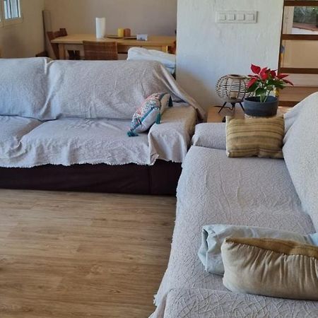 Agradable Casa Con Piscina Privada Y Jardin Villa Denia Ngoại thất bức ảnh