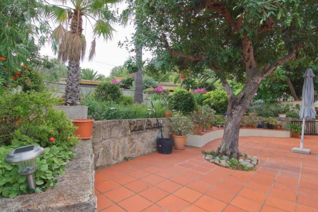 Agradable Casa Con Piscina Privada Y Jardin Villa Denia Ngoại thất bức ảnh